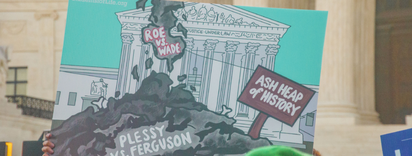Sign illustrated with Roe on the ash heap of history