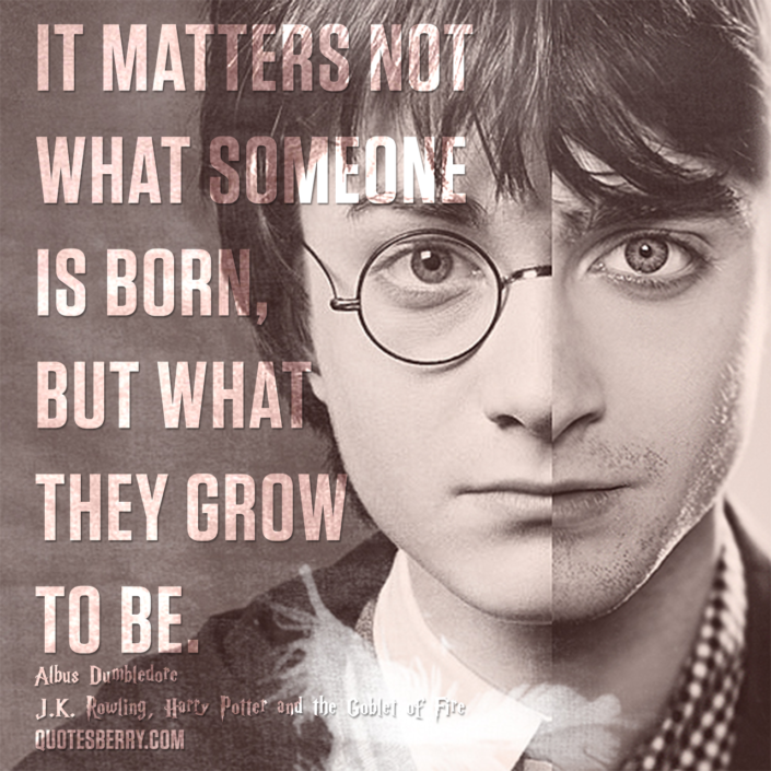 Harry Potter