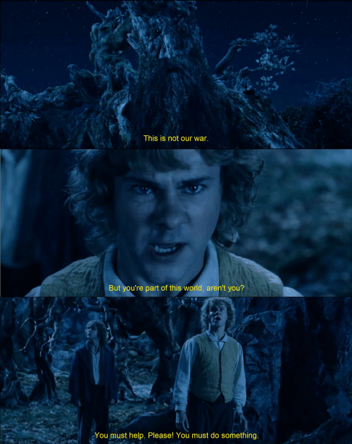 Lord of the Rings (2)