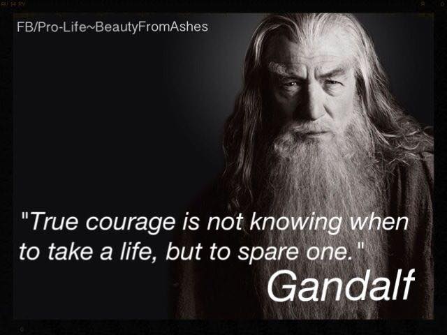 Lord of the Rings (5)