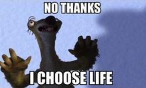 ice age