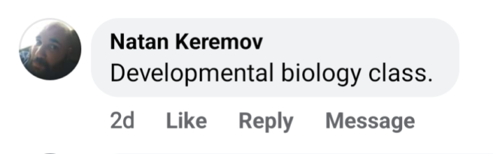 developmental biology class