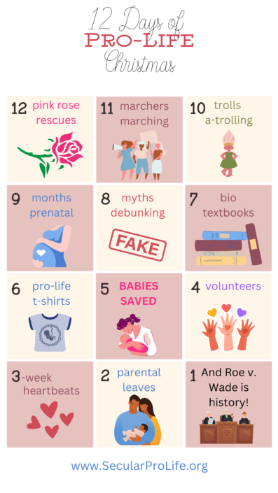 12 days of pro-life christmas