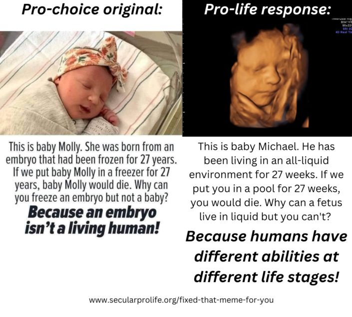 baby molly vs michael