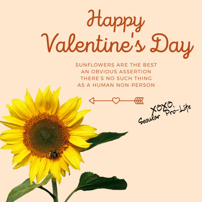 Picture of a single sunflower, caption reads: Happy Valentine's Day. Sunflowers are the best, an obvious assertion. There's no such thing as a human non-person. XOXO - Secular Pro-Life