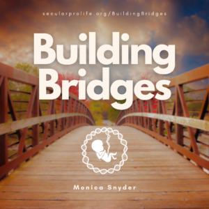 building bridges - monica snyder