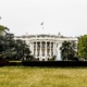 The White House