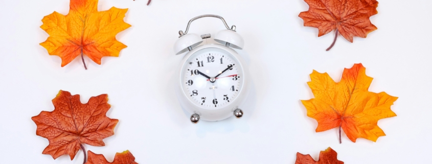 Autumn leaves and an alarm clock