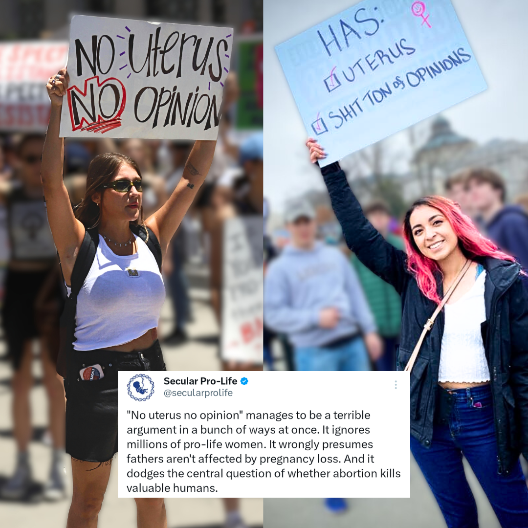 a terrible argument