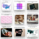 Photo grid of SPL's top 9 articles of 2025