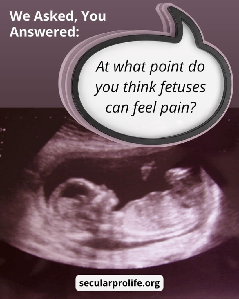 we asked you answered (WAYA) - fetal pain
