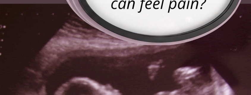 we asked you answered (WAYA) - fetal pain