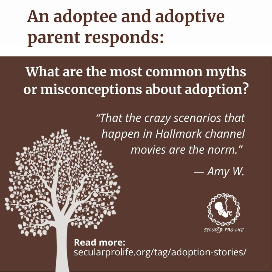 Amy W adoptee and adoptive parent story tree