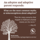 Amy W adoptee and adoptive parent story tree